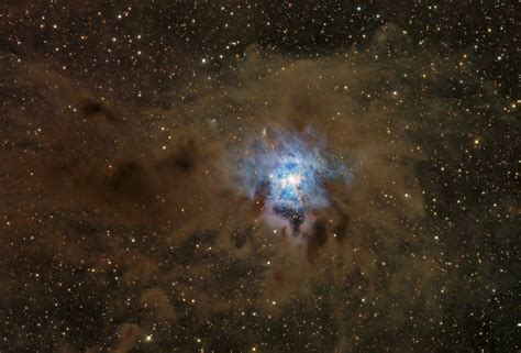 Maximo Ruizngc7023 Iris Nebula Apod Astro Cooled Camera