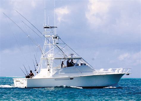 Turks And Caicos Fishing Charters Providenciales Provo Marlin