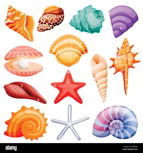 Colorful Shells Clipart Background
