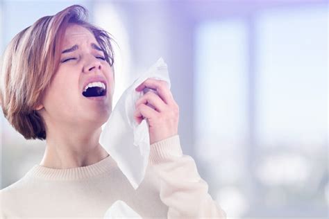 Sneeze Just Naturally Healthy
