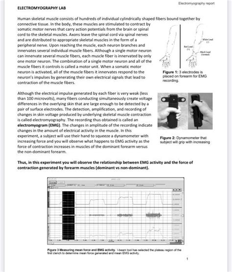 Solved Electromyography Report Electromyography Lab Human