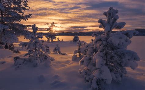 Wallpaper Id 792356 Trees Norway 1080p Snow Winter Sunset