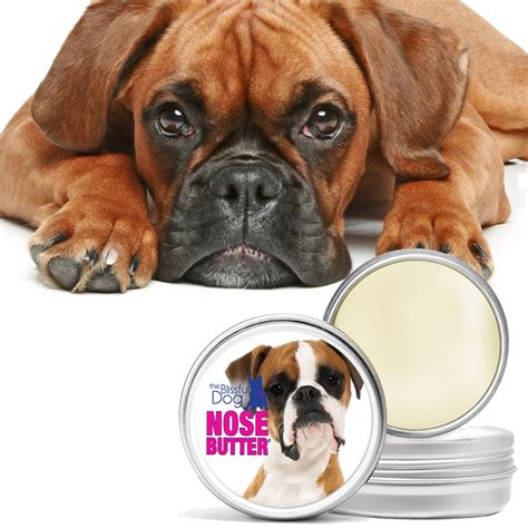 The Blissful Dog Fawn Boxer Nose Butter 2 Ounce 741812902679 Ebay