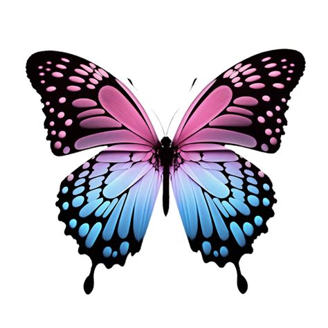 Monarch Butterfly Blue Pink 21453777 Png
