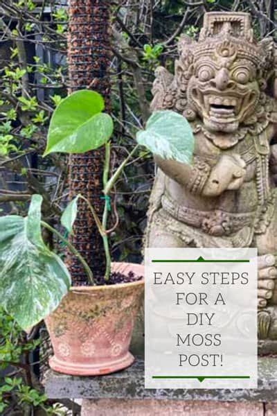 With very few supplies and a couple of bucks, you can make these mini. Moss Pole DIY: 7 EASY Steps to Make a Perfect One! Ohio ...