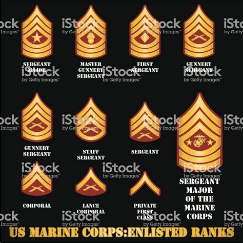 the insignia of enlisted ranks in the us marine corps marine corps us marine corps marine