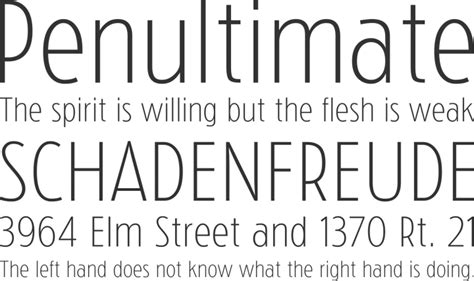 Choice 1 for fonts | Thin fonts, Fonts, Best free fonts
