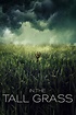 In the Tall Grass - Z Movies