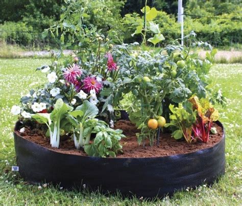 Creative Diy Patio Ideas For Vegetable Gardening In Pots