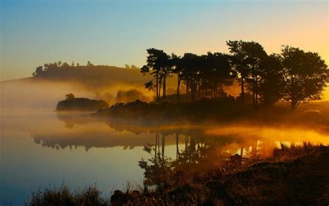 Free Download Foggy Lake At Dawn Wallpaper 6166 1920x1200 For Your