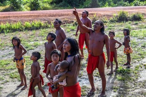 「最後の1人まで戦う」 採掘業者迫るアマゾンで矢を研ぐ先住民 写真9枚 国際ニュース：afpbb News