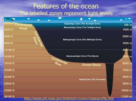 Ppt The Ocean System Powerpoint Presentation Free Download Id2239277