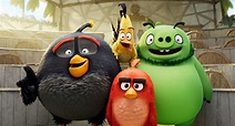 Foto de la película Angry Birds 2: La película - Foto 16 por un total ...