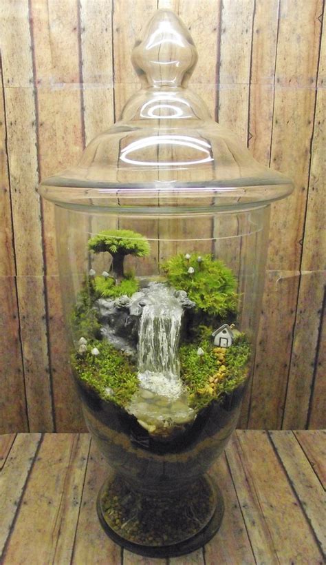 Maybe you would like to learn more about one of these? Amazing Huge Waterfall Terrarium with Raku Fired Miniature | Etsy | Garden terrarium, Terrarium ...