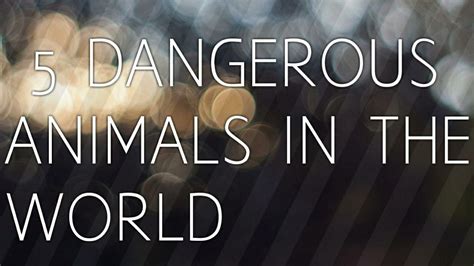 5 Dangerous Animals In The World 😮 By Thinkandlearn Youtube
