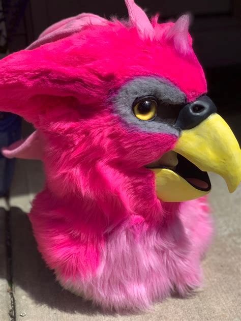 Custom Fursuit Head Commission Resin Head Base Bird Fursuit Etsy