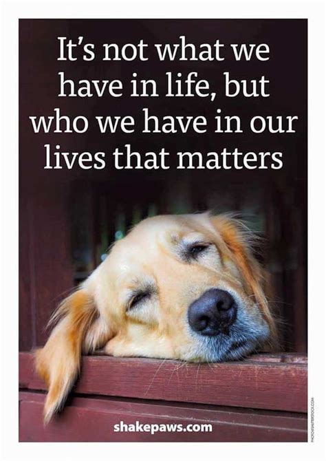 21 Dog Love Quotes For Instagram Itang Quote