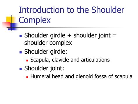 Ppt The Shoulder Complex Powerpoint Presentation Free Download Id