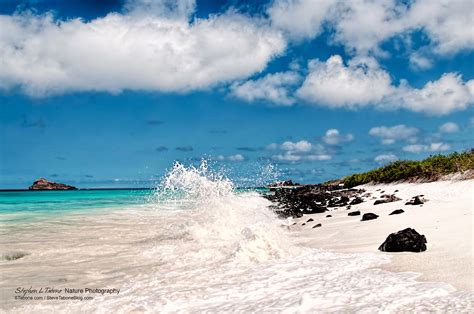 Espanola Island In The Galapagos Stephen L Tabone Nature Photography