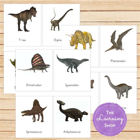 Montessori Dinosaur 3 Part Cards Etsy Ireland
