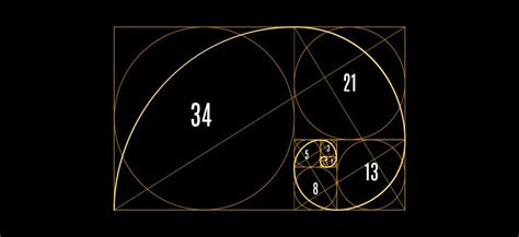 Golden Ratio Photoshop