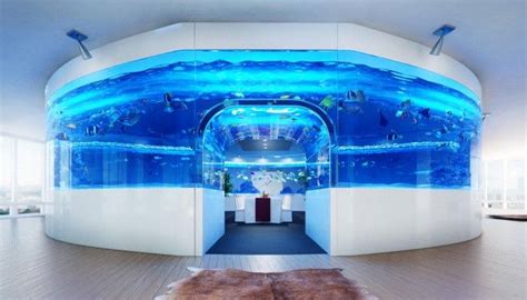 The Aquarium Is Designed With A Room Inside So The Owner Can Feel Like