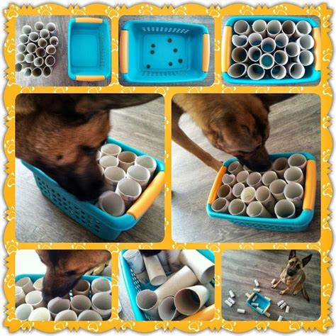 How To Make Diy Puppy Toys Modifications
