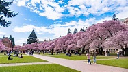 University of Washington ranks among most beautiful college campuses ...