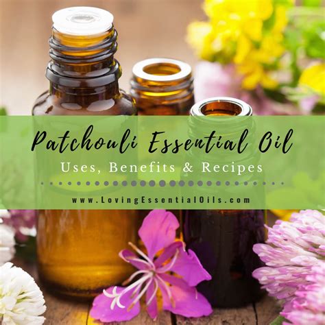 Patchouli Essential Oil Uses Benefits And Recipes Eo Spotlight
