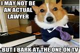 Lawyer Dog Meme Photos