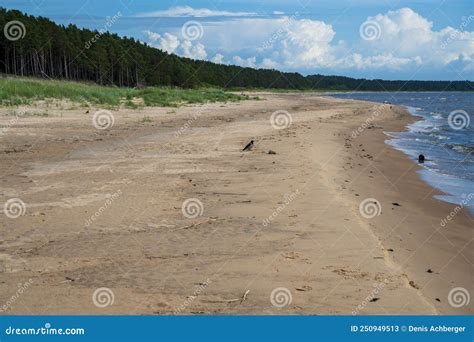 Sandy Beach Sea And Coniferous Forest Stock Image Image Of Forest