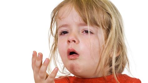Whooping cough (also known as 'pertussis') is a highly infectious infection of the lungs and airways. Pertussis (whooping cough) - Akron Children's Hospital ...