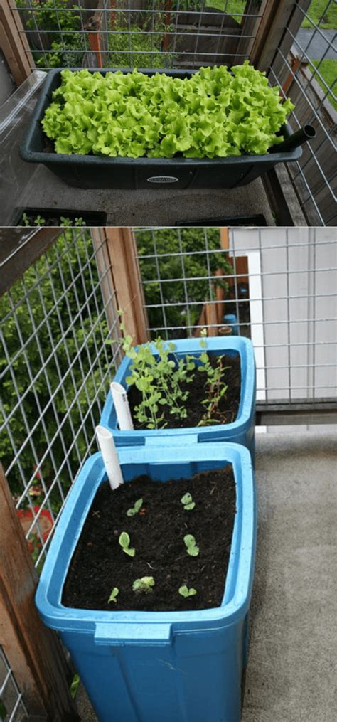 Urban Gardening How To Build A Raised Bed Ideas
