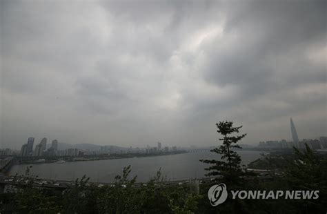 미세먼지도 조금씩 사라져가고 나가면 많은 종류의 꽃들이 피어있더라구 *_* 산책하기 넘넘 좋은 요즘 날씨 ㅠㅠ꽃 피는 4월에도 어김없이 돌아온 하체통통 에디터의 2주 돌려입기. 내일날씨 전국 맑다가 오후 흐려져…제주 밤부터 비 | 연합뉴스