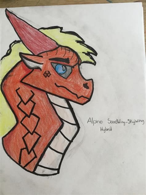 Alpine The Sandwing Skywing Hybrid By Apinethedragon12 On Deviantart