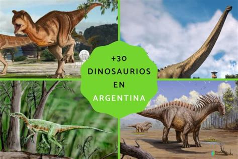 30 Dinosaurios En Argentina Características Y Fotos