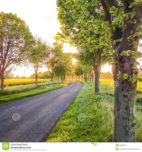 Country Road Stock Photo Image 54065210