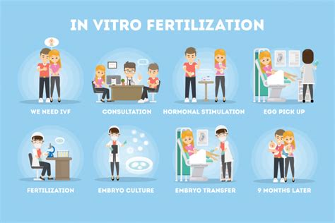 How Does Ivf Work A Step By Step Guide Carolinas Fertility Institute