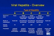 Everything About Hepatitis - Keeplol