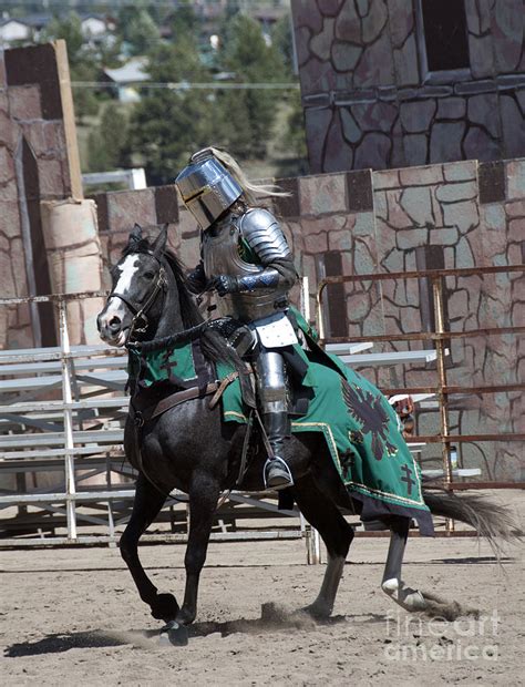 Knight In Shining Armor Photograph By Juli Scalzi