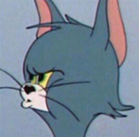 24 Tom And Jerry Meme Jerry Face Crying Woolseygirls Meme