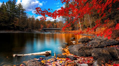Wallpaper Id 32646 Autumn Forest Lake 4k Free Download
