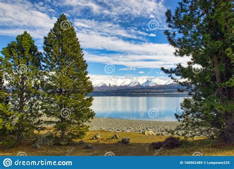 Pine Trees With Mountains And Lakeside Reflecting The Turquoise Water