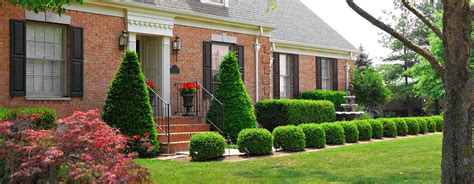 Tml Mowing Company Serving Evergreen Park Oak Lawn Beverly Mount