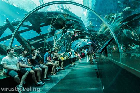Sea Aquarium Singapore Akuarium Terbesar Di Dunia