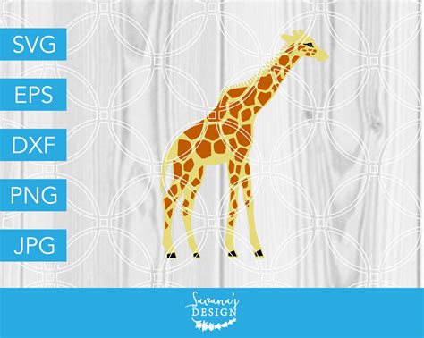 Giraffe Svg Cut File Zoo Svg Vector Graphics Creative Market