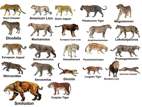 Which Extinct And Prehistoric Cat Is Your Favorite Rdiscoverearth