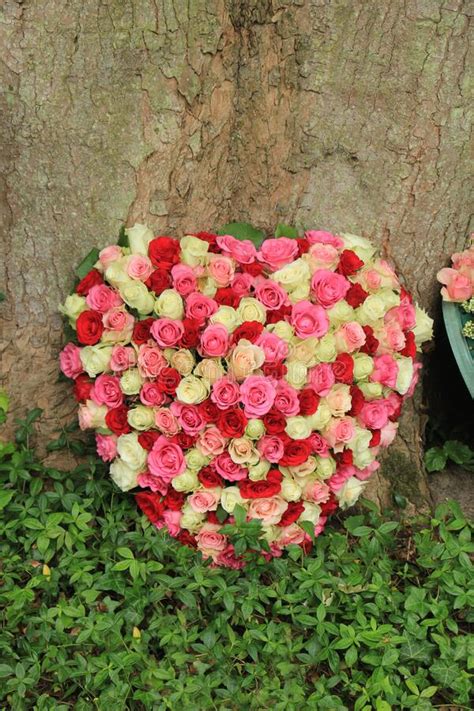 Heart Shaped Sympathy Flowers Stock Photo Image Of Cemetery Flowers