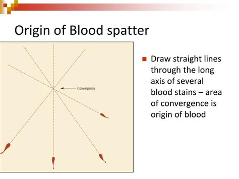 Ppt Bloodstain Patterns Powerpoint Presentation Free Download Id