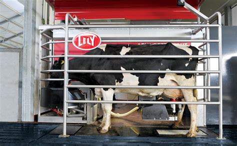 New Robot Makes Milking Cows An Automated Process Easier For Everyone